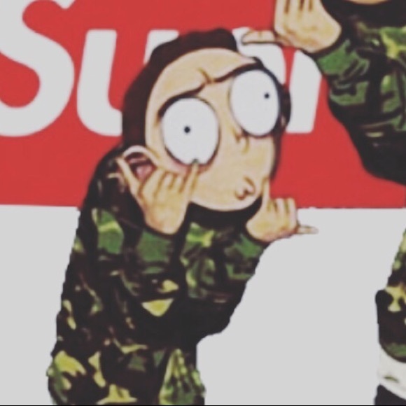 Meet your Posher, Rudy - Picture 1 of 1